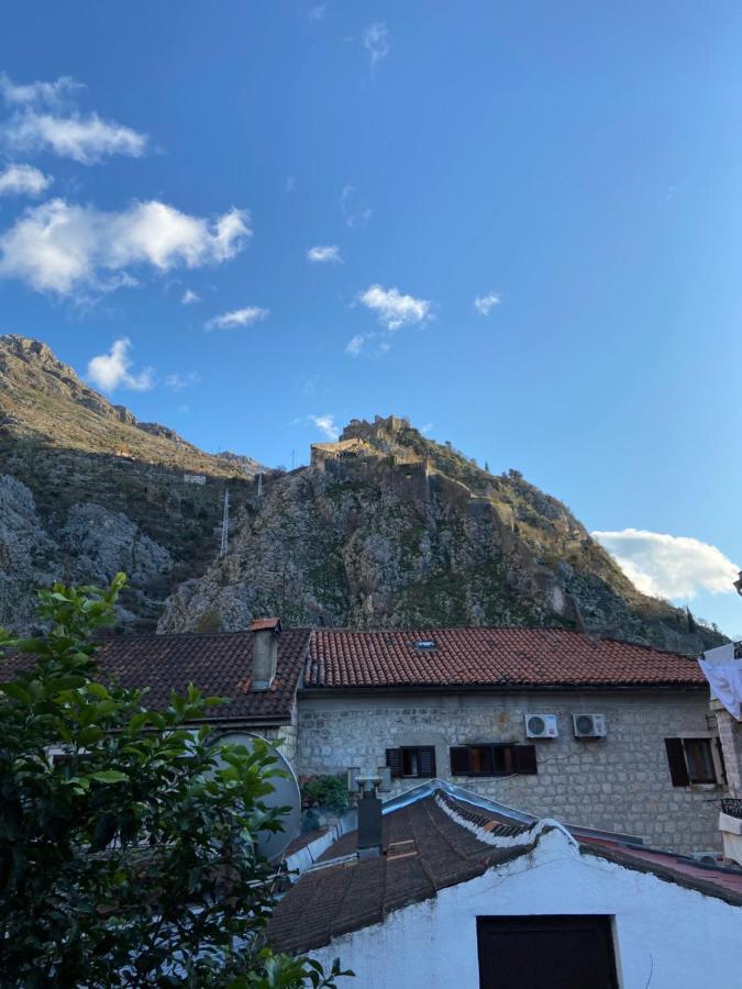 Viktor Rooms Kotor Luaran gambar